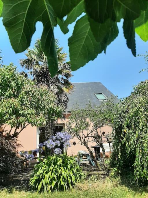 La Maison Rose - Avec Grand Jardin Clos A 300M De La Mer Hauteville-sur-Mer Экстерьер фото