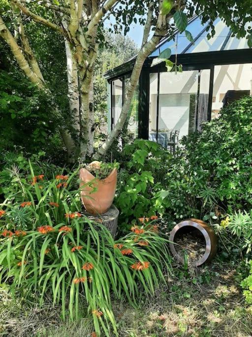 La Maison Rose - Avec Grand Jardin Clos A 300M De La Mer Hauteville-sur-Mer Экстерьер фото